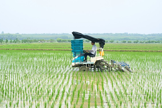 持續精進 深耕有機